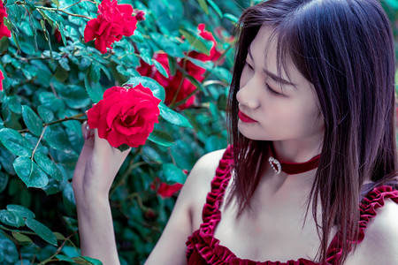 国家二级重点保护野生植物茶果樟在云南新增多个分布点